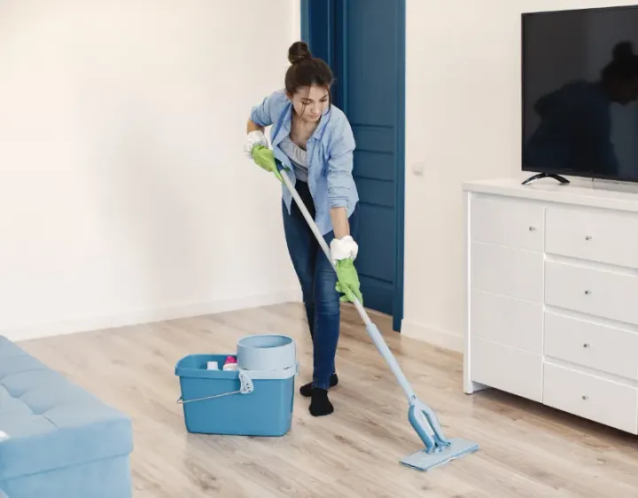 Femme de ménage Serrières-en-Chautagne